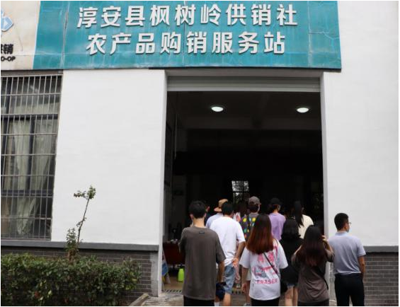 图片4.png